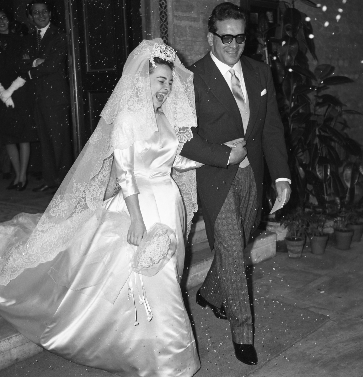 小洲村里的猫咪对话