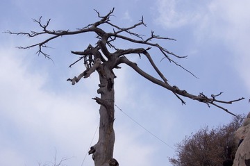 华山