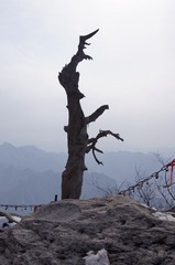 华山