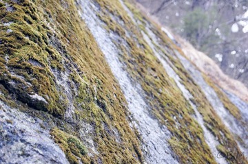 华山
