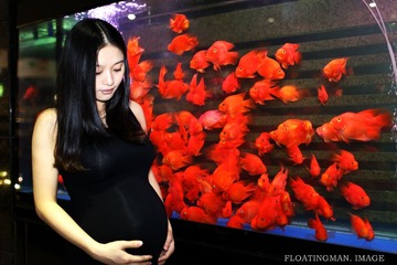 万众期待