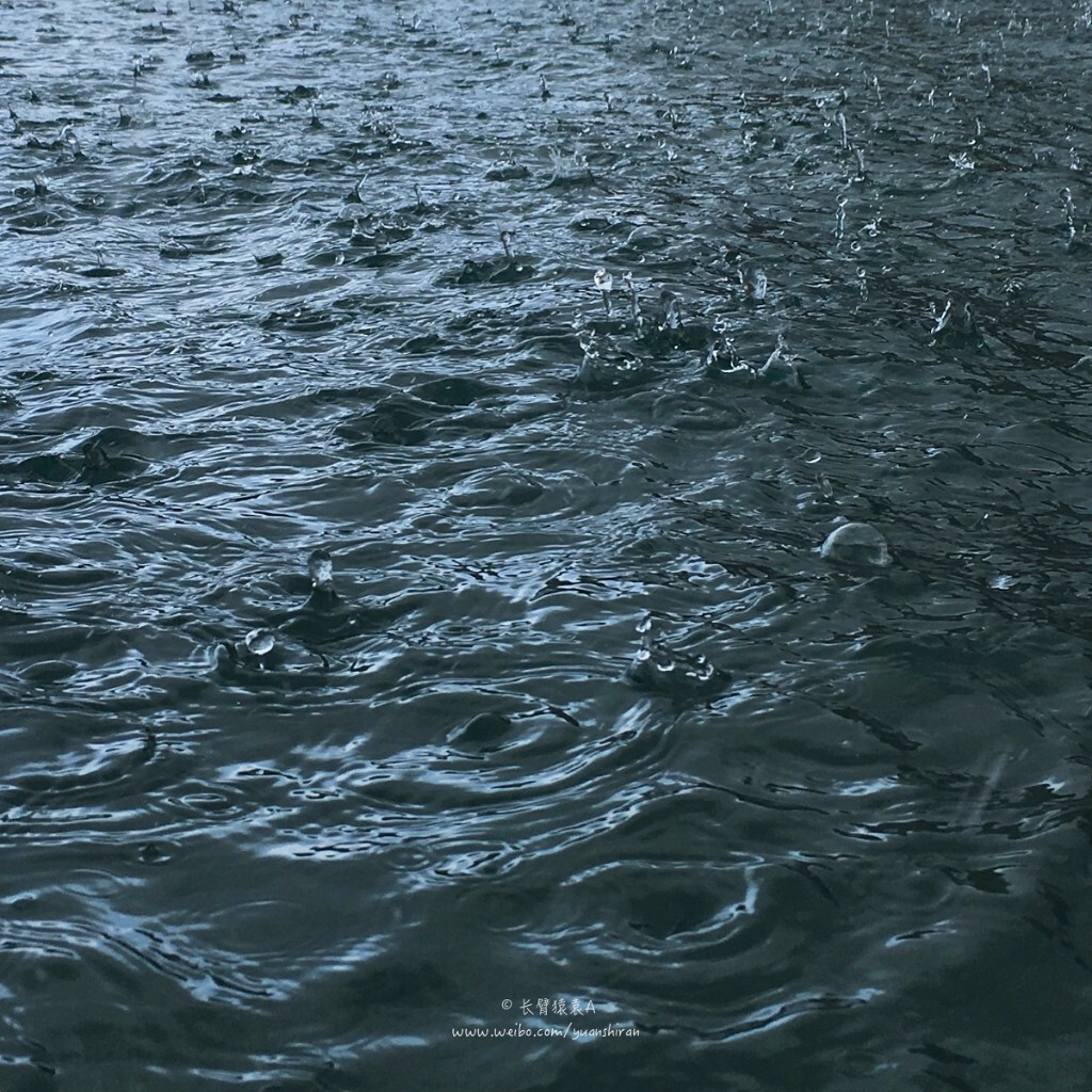 【 14 】出海潜水中途下雨了(2016年7月24日,苏梅岛)<br />
