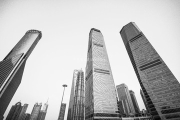 IMG_7914_1