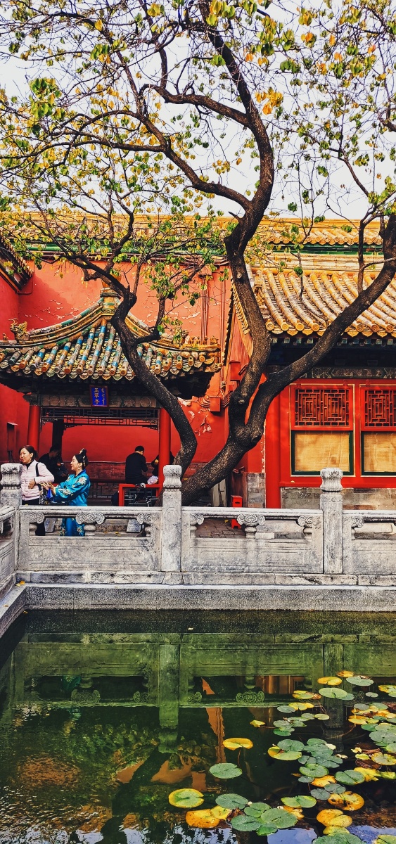 北京故宫 玉翠亭过去的一切美好,现都已成物事人非,问美何处在?