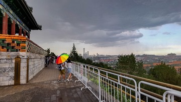 阳台上的杜鹃花3