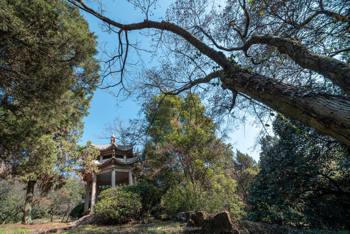 荣氏梅园横山东大门景区