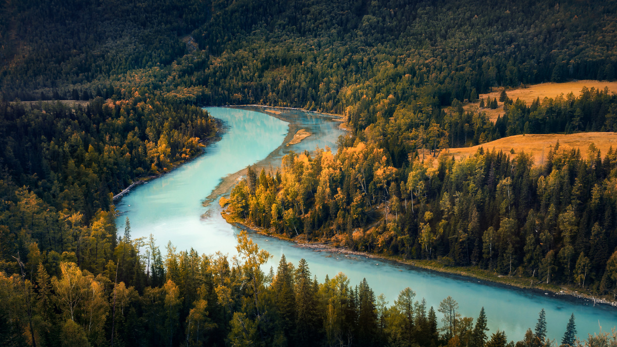 秋季的喀纳斯照片都是常规机位只要想拍每个人都可以拍到喀纳斯漂亮的