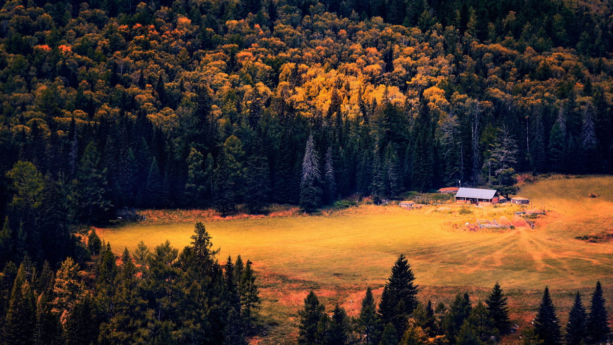 秋季的喀纳斯照片都是常规机位只要想拍每个人都可以拍到喀纳斯漂亮的