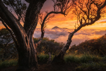 Bromo火山日落云海