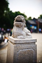 DSC_7104.jpg
