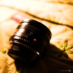 DSC_7761.jpg