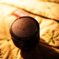 DSC_7762.jpg