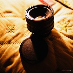 DSC_7764.jpg