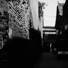 DSC_8486.jpg