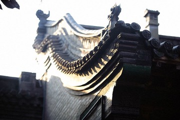 DSC_8675.jpg