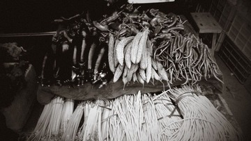12060052.jpg