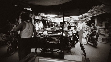 12060056.jpg