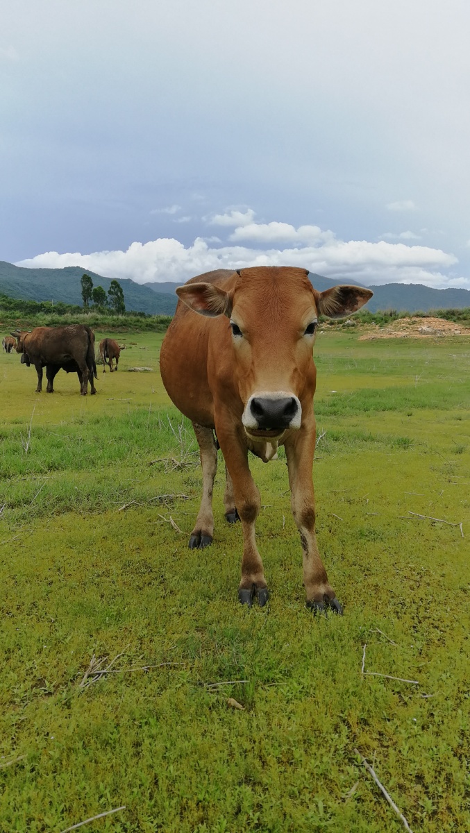 677_1200竖版 竖屏