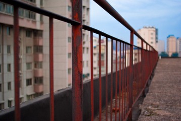 DSC08968.jpg