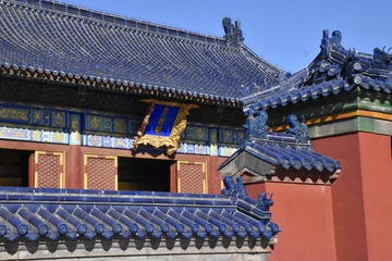 还是花儿啊