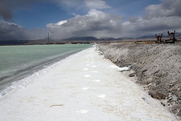 IMG_d0376