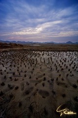 高坡·水田