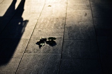 FFI_1766