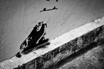 FFI_3211