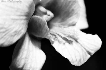FFI_8367