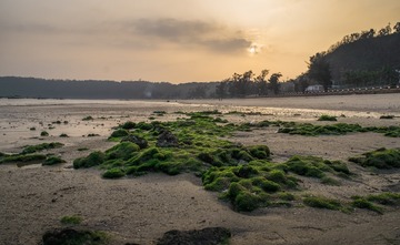 _DSF3669