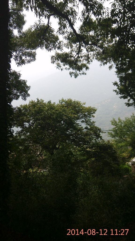 花果山上山路远处的风景