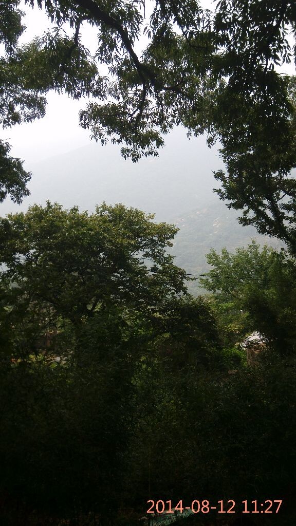 花果山上山路远处的风景