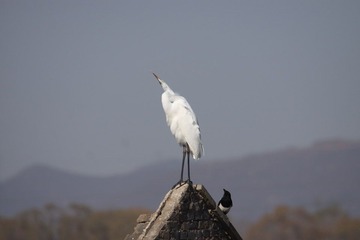 IMG_2614.JPG