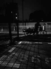 4618250