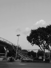 5250473