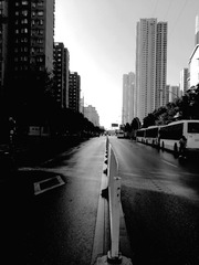 4662303