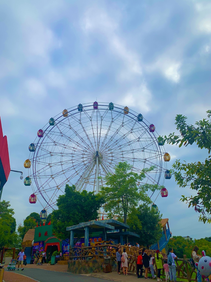 打卡梧州玫瑰湖78今年的和人儿都很美