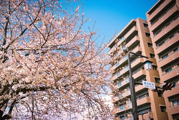 FH000032.jpg