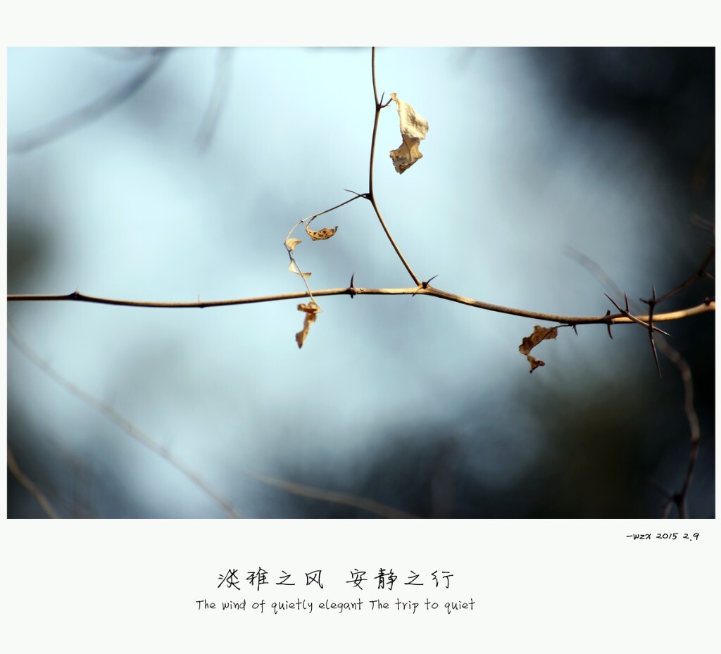 淡雅之风 安静之行<br />
The wind of quietly elegant The trip to quiet