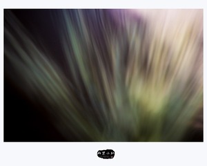 5Y9A6029