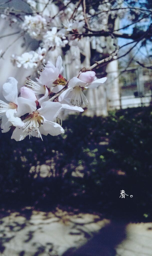 拍摄来自小米手机。