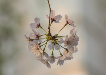 DSC_0922+