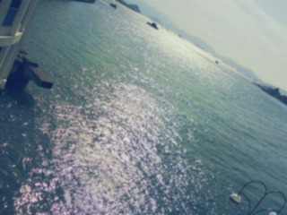 海港.jpg
