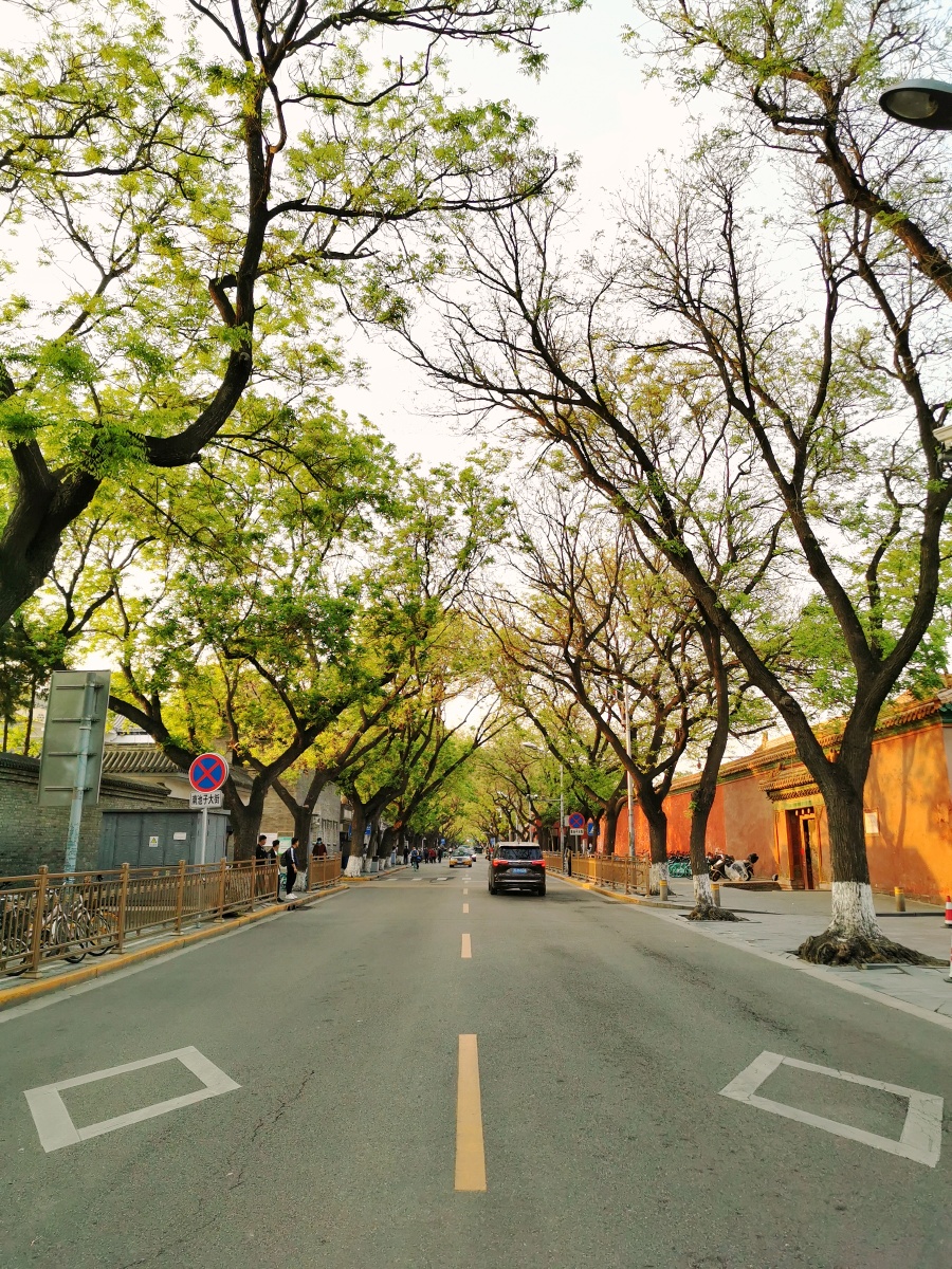 北京南池子大街