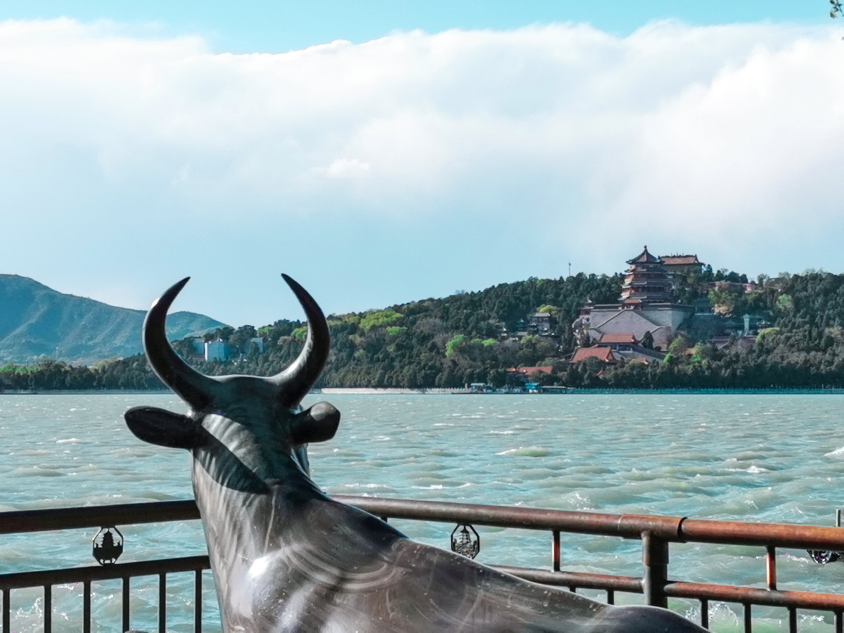 颐和园铜牛遥望佛香阁在暴风雨来临之际拍了这组照片