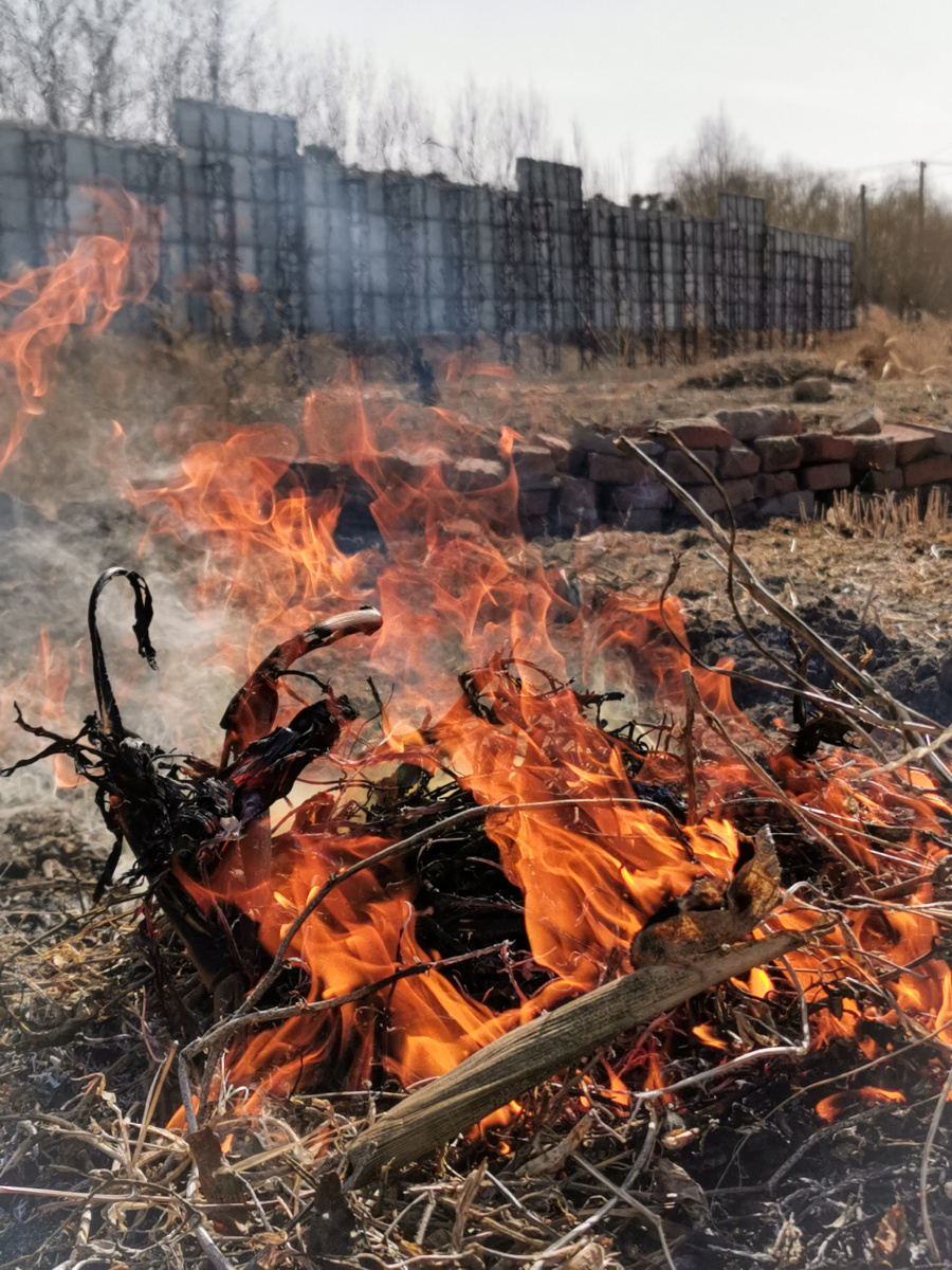 野火烧不尽春风吹又生第一次遇见炼荒特意下车拍几张