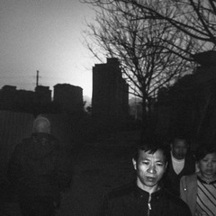 每日一图，3月5日。