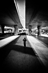 DSC_0112.jpg