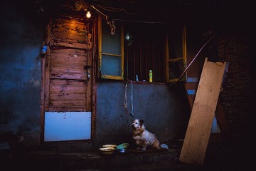 IMG_0191.jpg