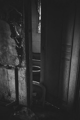 IMG_0010.jpg